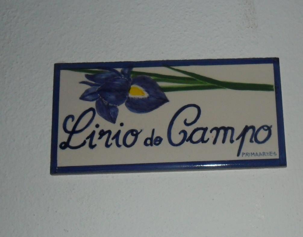 Apartamentos Bau-Doce Cercal do Alentejo Екстериор снимка