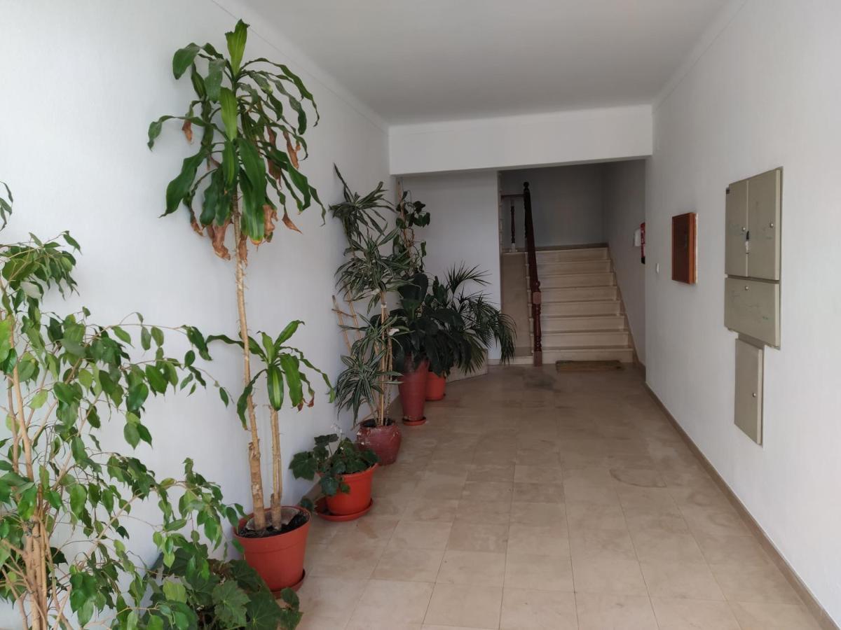 Apartamentos Bau-Doce Cercal do Alentejo Екстериор снимка