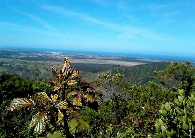 Apartamentos Bau-Doce Cercal do Alentejo Екстериор снимка